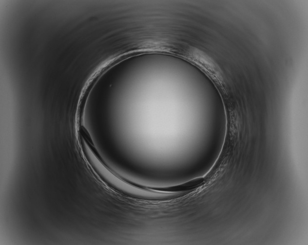 X0000097961188200803241208