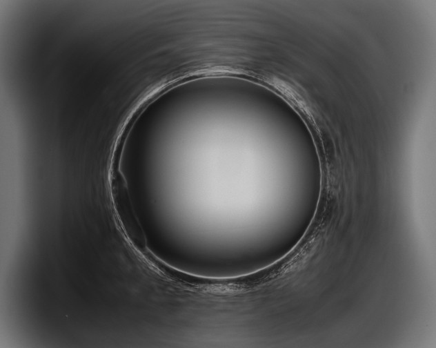 X0000097961189200803241208