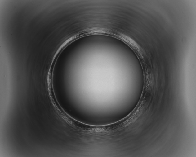 X0000097961190200803241208