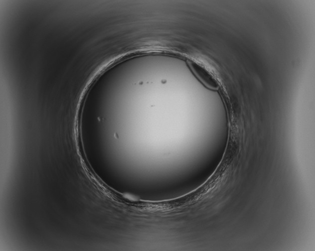 X0000097961191200803241208