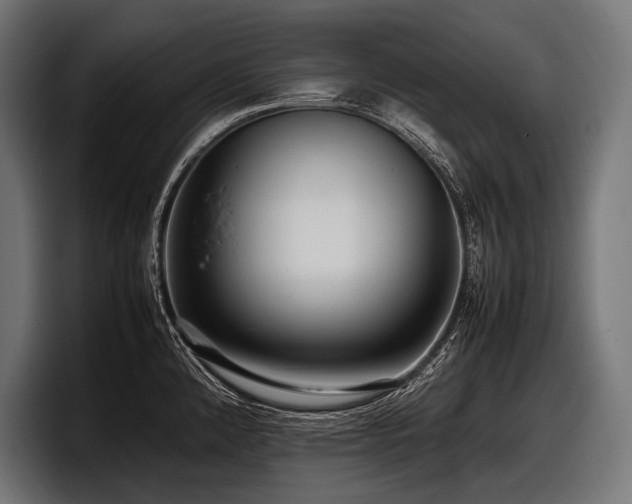 X0000097961192200803241208