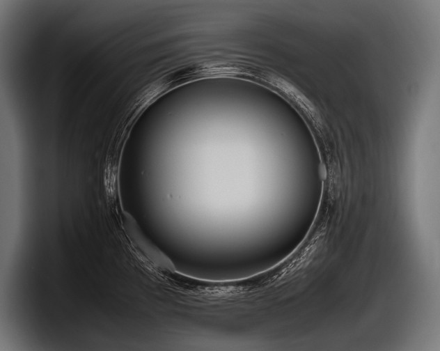 X0000097961193200803241208