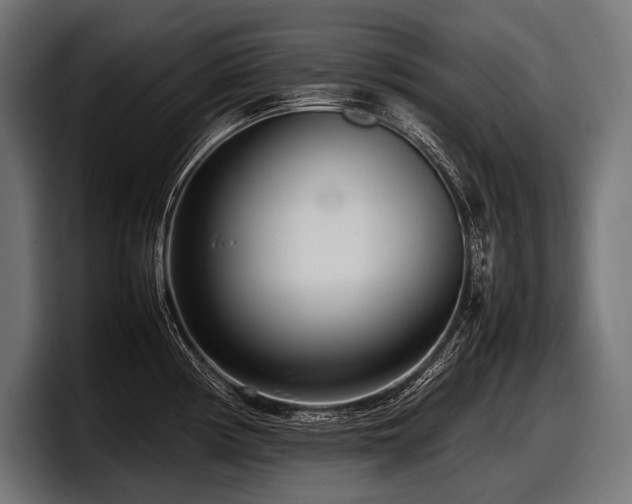 X0000097961194200803241208