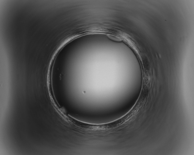 X0000097961195200803241208