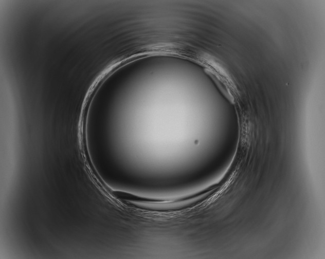 X0000097961196200803241207