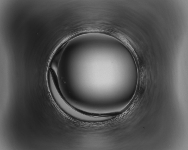 X0000097961197200803241207