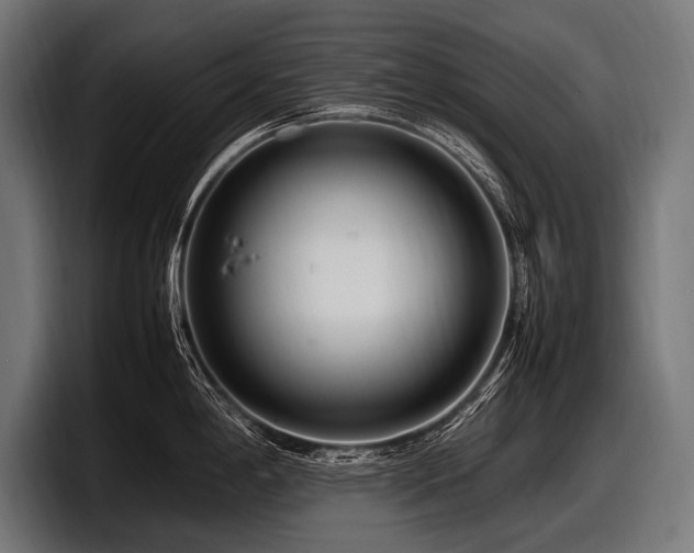 X0000097961198200803241207