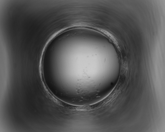 X0000097961199200803241207