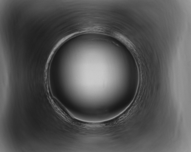 X0000097961200200803241207