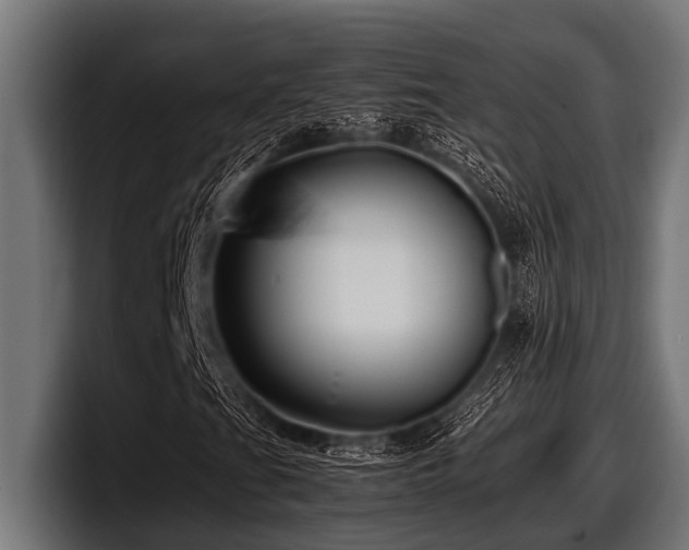 X0000097961201200803241207