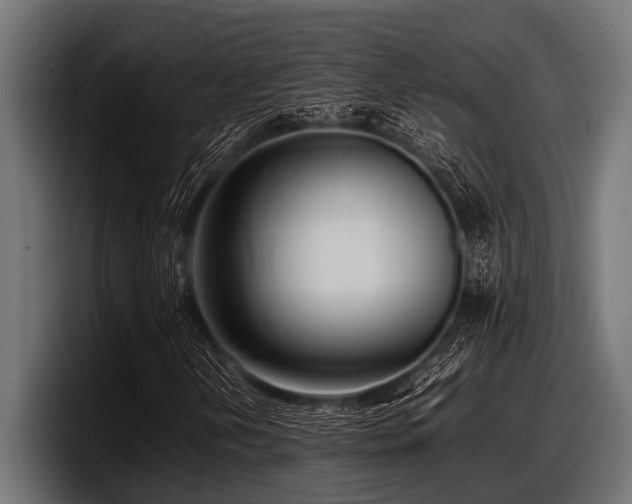 X0000097961202200803241207