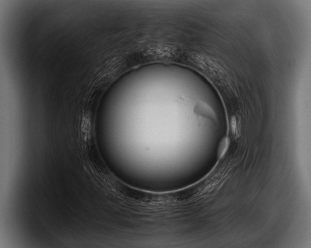 X0000097961203200803241207