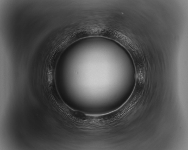 X0000097961204200803241207