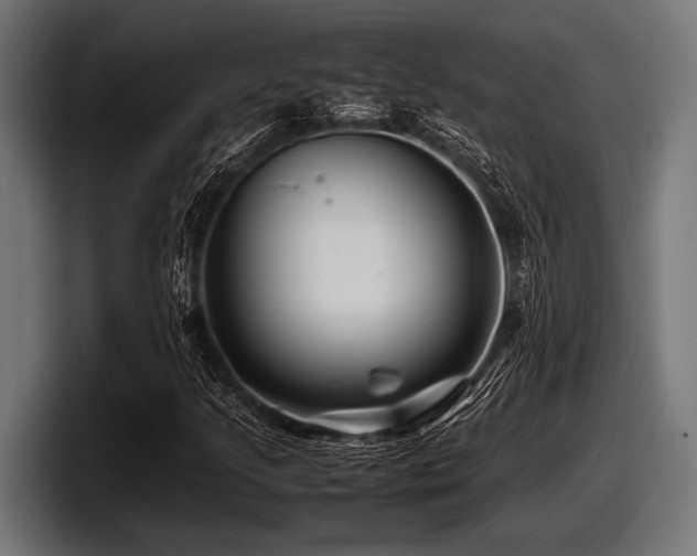 X0000097961205200803241207