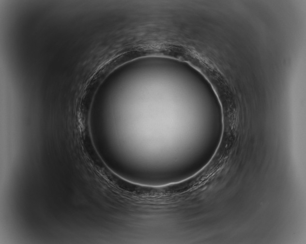 X0000097961206200803241207