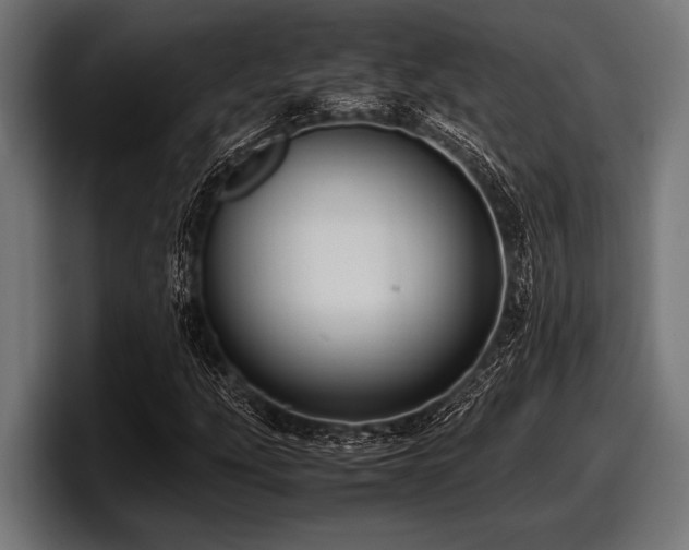 X0000097961207200803241207