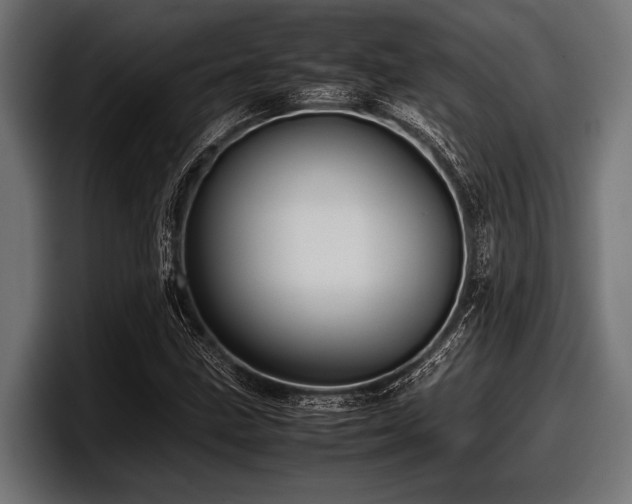 X0000097961211200803241207