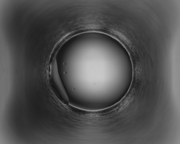 X0000097961212200803241207