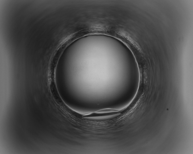 X0000097961213200803241207