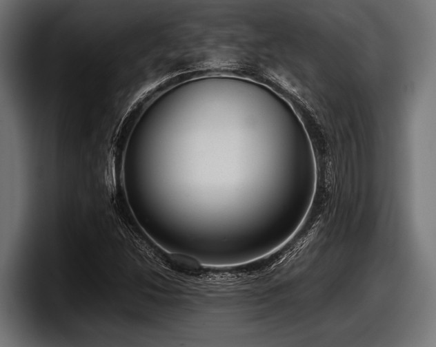 X0000097961214200803241207