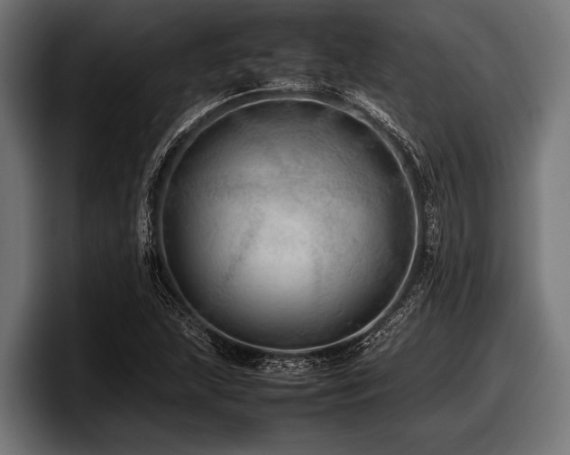 X0000097961215200803241207