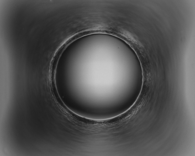 X0000097961216200803241207