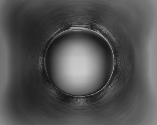 X0000097961217200803241207