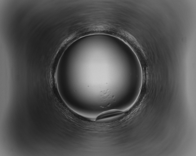 X0000097961218200803241207