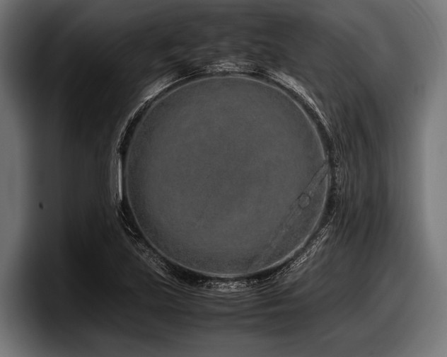 X0000097961219200803241207