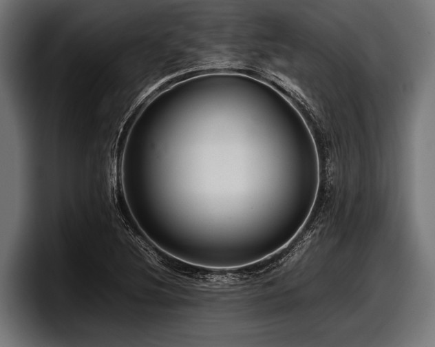 X0000097961220200803241207
