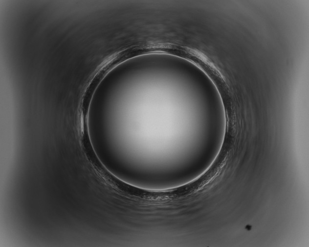 X0000097961221200803241207