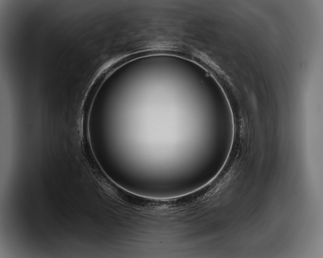 X0000097961222200803241207