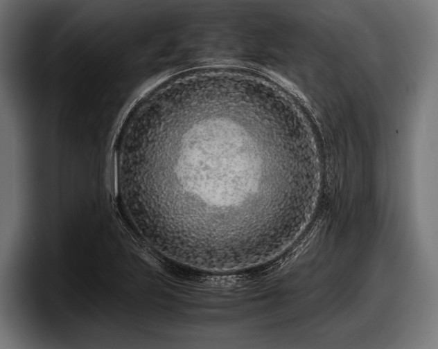 X0000097961223200803241207
