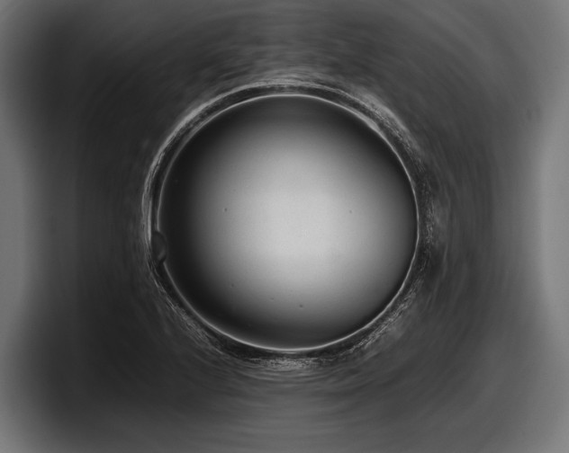X0000097961224200803241207