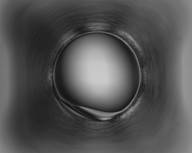 X0000097961225200803241207