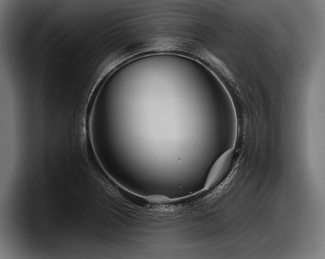 X0000097961226200803241207