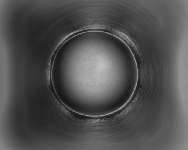 X0000097961228200803241207