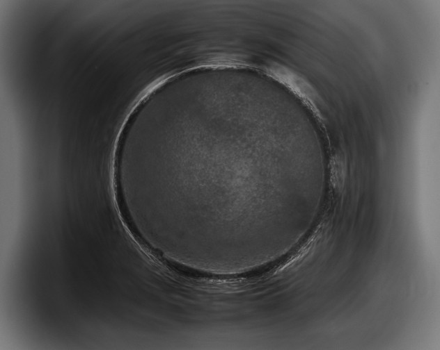 X0000097961229200803241207