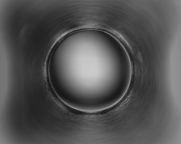 X0000097961230200803241207