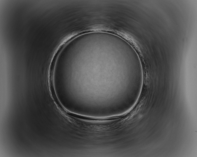 X0000097961231200803241207