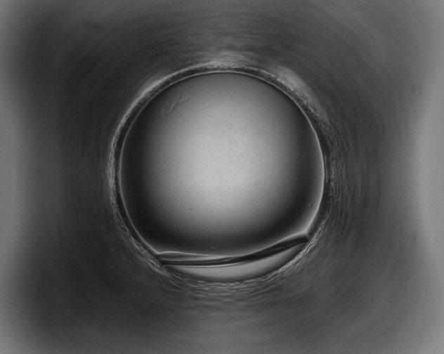 X0000097961232200803241207