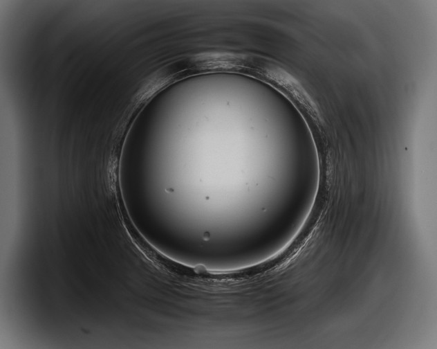 X0000097961233200803241207