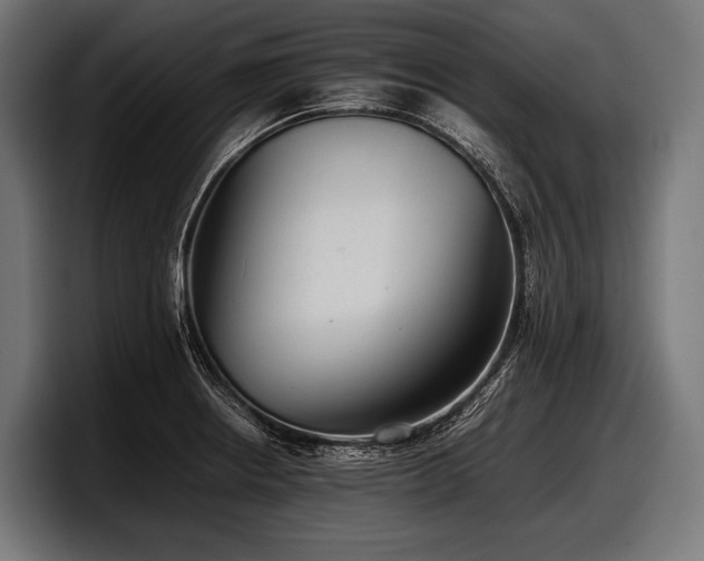 X0000097961234200803241207