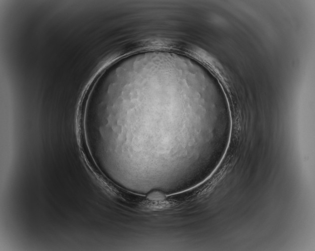 X0000097961235200803241207