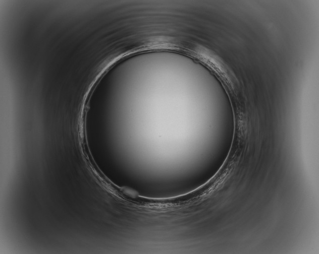X0000097961236200803241207