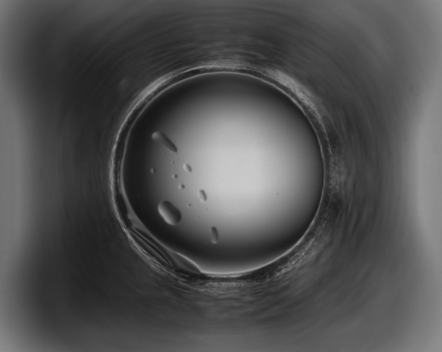 X0000097961237200803241207