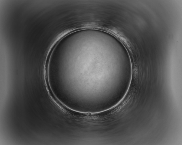 X0000097961239200803241207