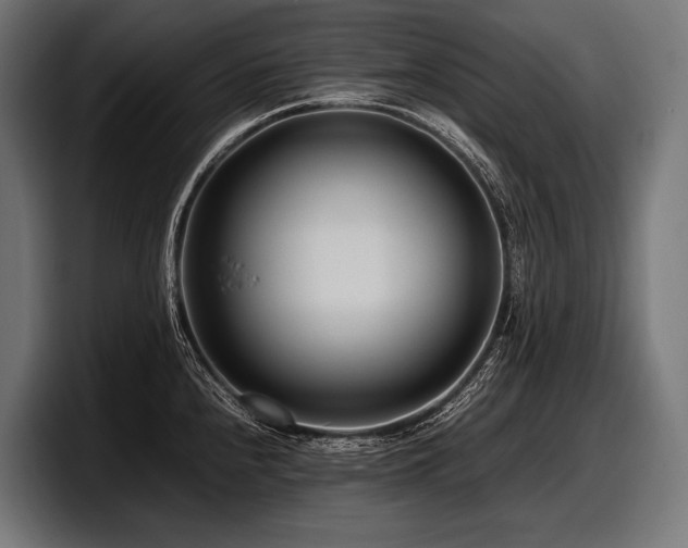 X0000097961240200803241207