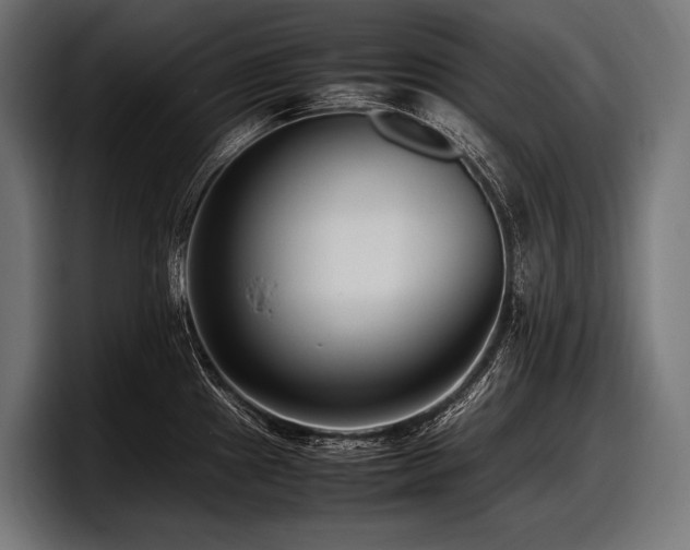 X0000097961241200803241207