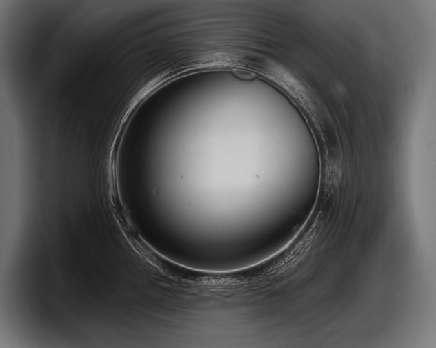 X0000097961242200803241207